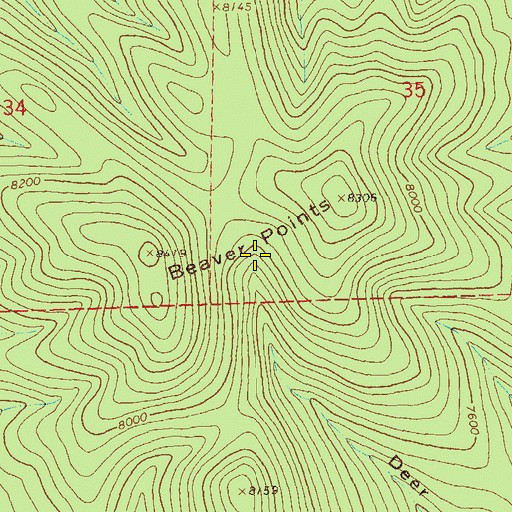 Topographic Map of Beaver Points, NM