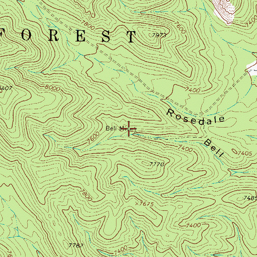 Topographic Map of Bell Mine, NM