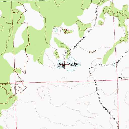 Topographic Map of Big Lake, NM