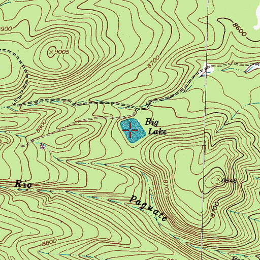 Topographic Map of Big Lake, NM