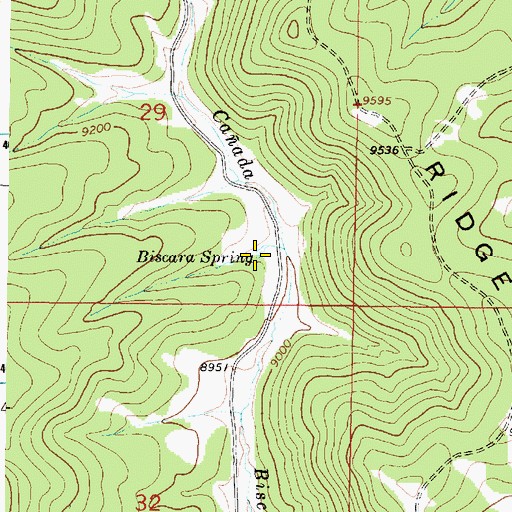 Topographic Map of Biscara Spring, NM