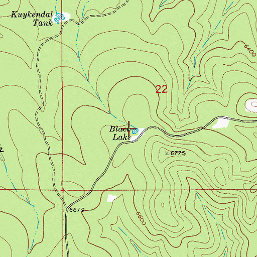 Topographic Map of Black Lake, NM