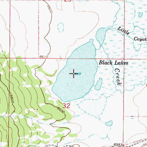 Topographic Map of Black Lakes, NM