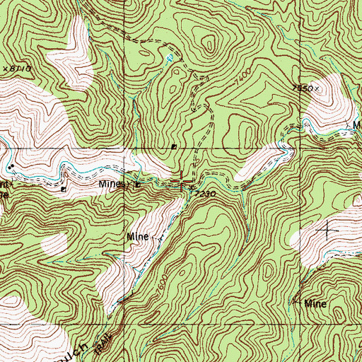 Topographic Map of Blackhawk Gulch, NM