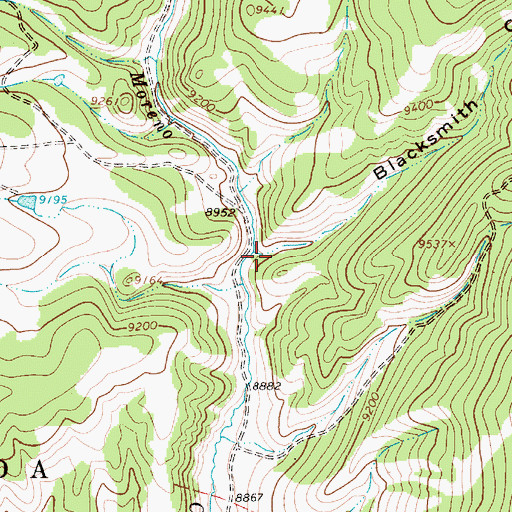Topographic Map of Blacksmith Canyon, NM