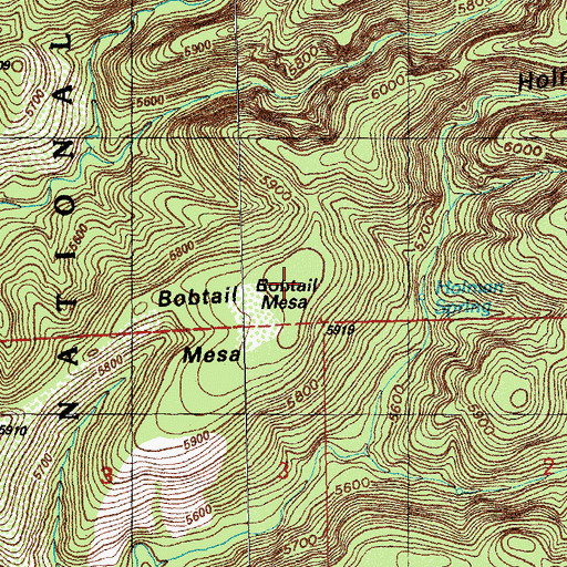 Topographic Map of Bobtail Mesa, NM