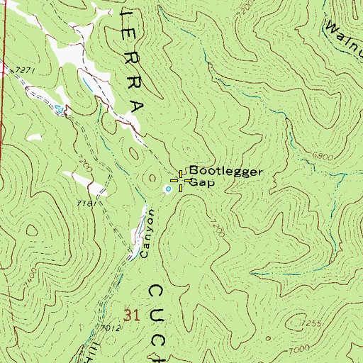 Topographic Map of Bootlegger Gap, NM