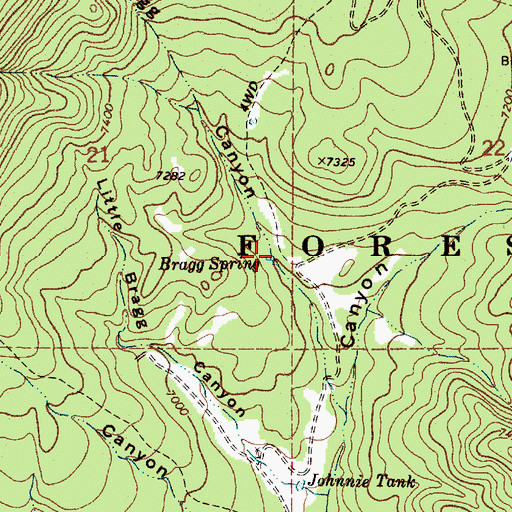 Topographic Map of Bragg Spring, NM