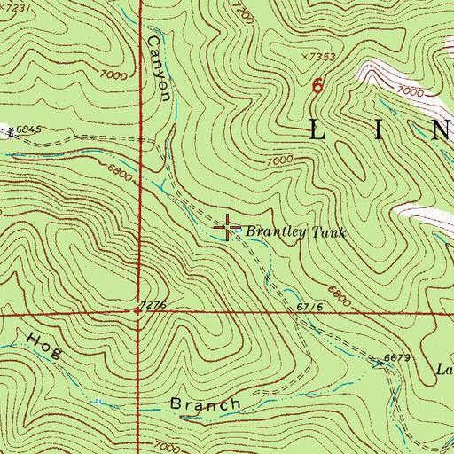 Topographic Map of Brantley Tank, NM