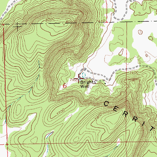 Topographic Map of Brights Well, NM