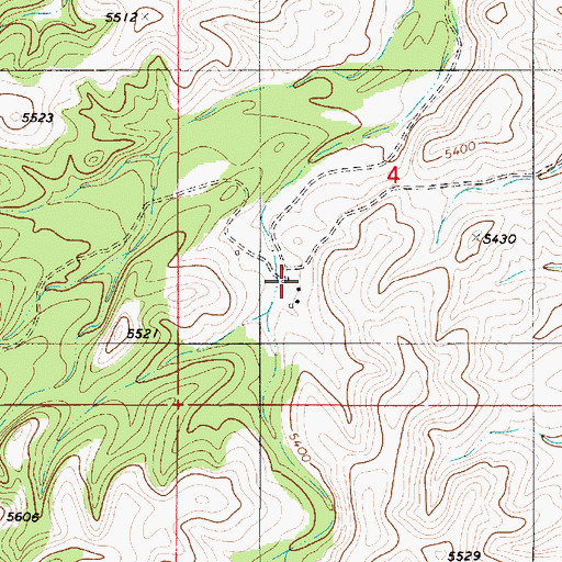Topographic Map of Brills Ranch, NM