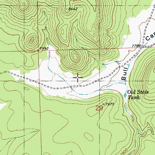 Topographic Map of Bull Camp, NM