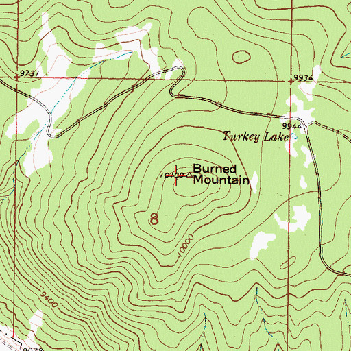 Topographic Map of Burned Mountain, NM