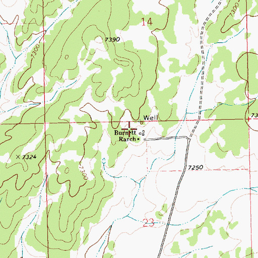 Topographic Map of Burnett Ranch, NM