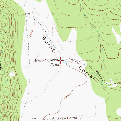 Topographic Map of Burnt Corral Tank, NM