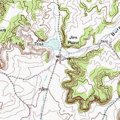Topographic Map of Burro Canyon, NM