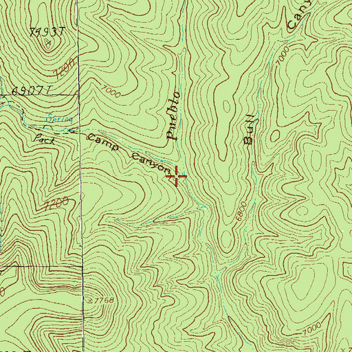 Topographic Map of Camp Canyon, NM