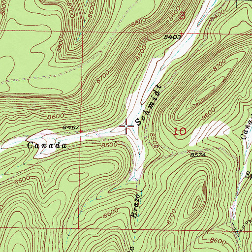 Topographic Map of Caada Brazo, NM