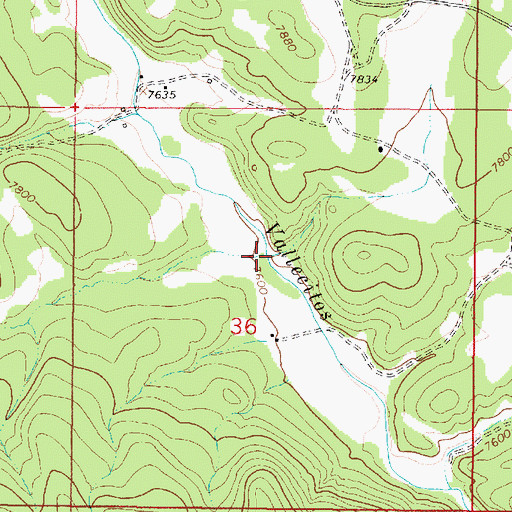 Topographic Map of Caada Jacques, NM