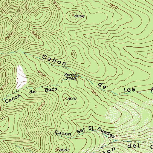 Topographic Map of Cañon de Baca, NM