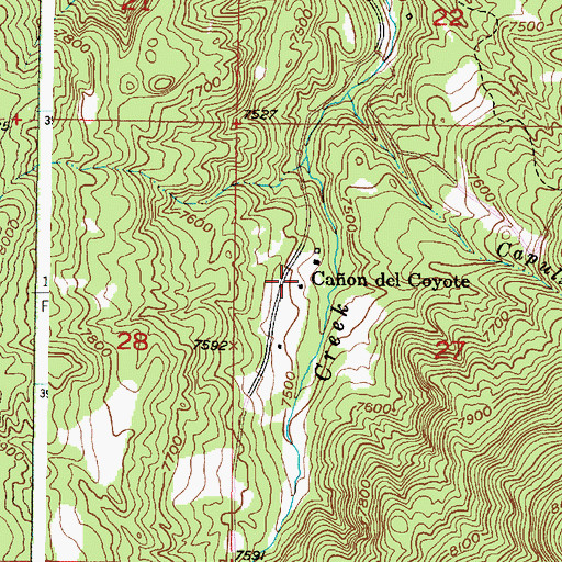 Topographic Map of Caon del Coyote, NM
