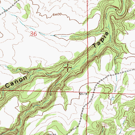Topographic Map of Caon del Puente, NM