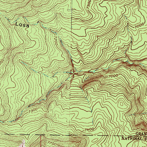 Topographic Map of Caon Chamisa Losa, NM
