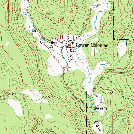 Topographic Map of Caon Ojo Sarco, NM