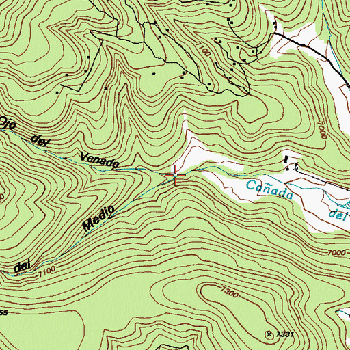 Topographic Map of Caoncito de Medio, NM