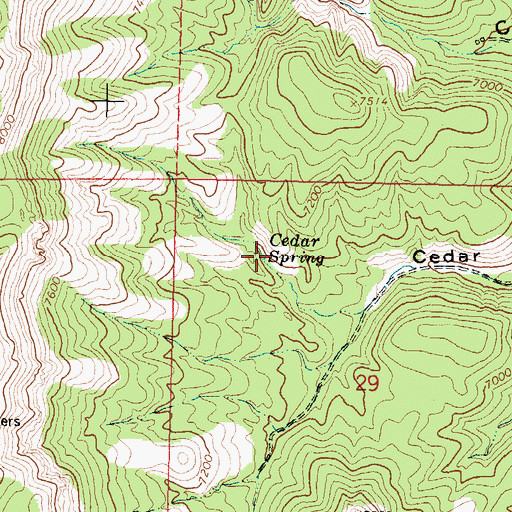 Topographic Map of Cedar Spring, NM