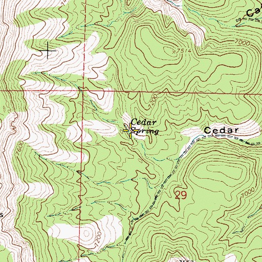 Topographic Map of Cedar Spring, NM