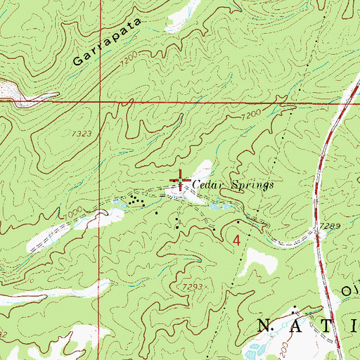 Topographic Map of Cedar Springs, NM
