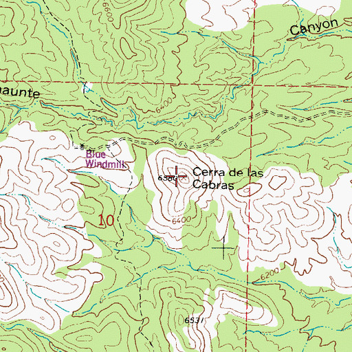 Topographic Map of Cerra de las Cabras, NM