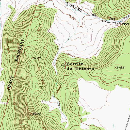 Topographic Map of Cerrito del Chibato, NM