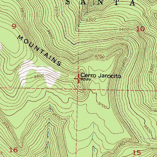 Topographic Map of Cerro Jarocito, NM