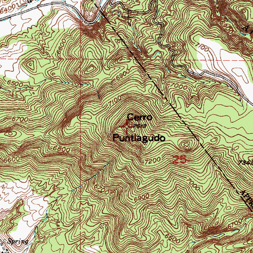 Topographic Map of Cerro Puntiagudo, NM