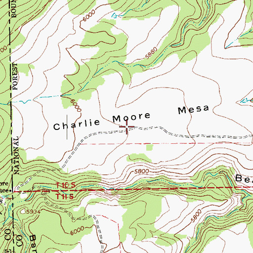 Topographic Map of Charlie Moore Mesa, NM