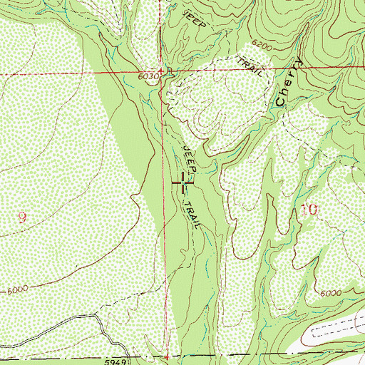 Topographic Map of Cherry Canyon, NM