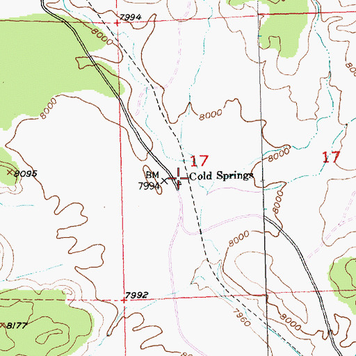 Topographic Map of Cold Springs, NM