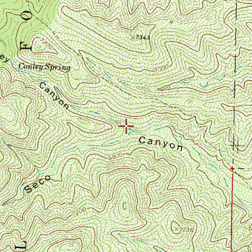 Topographic Map of Conley Canyon, NM