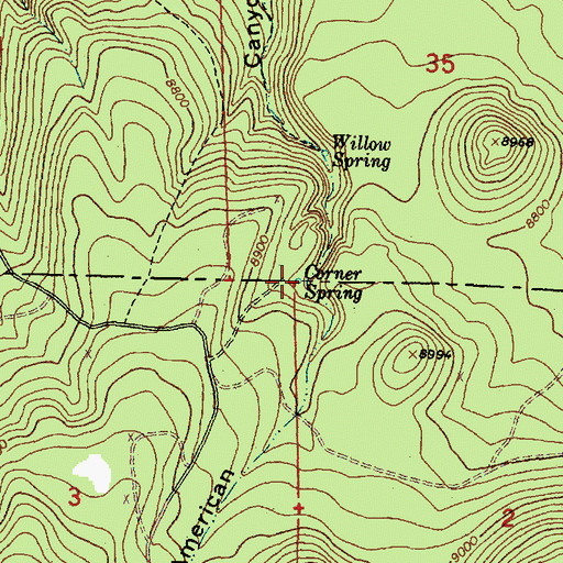 Topographic Map of Corner Spring, NM