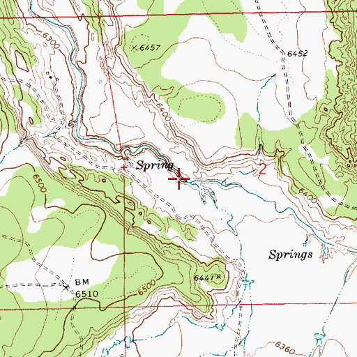Topographic Map of Cottonwood Canyon, NM