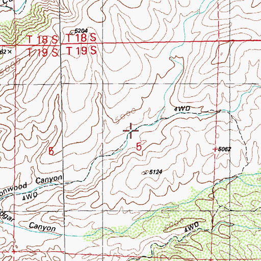 Topographic Map of Cottonwood Windmill, NM