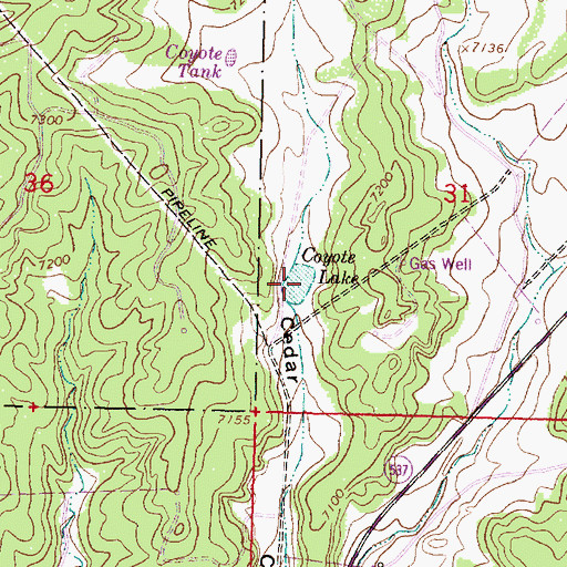 Topographic Map of Coyote Lake, NM