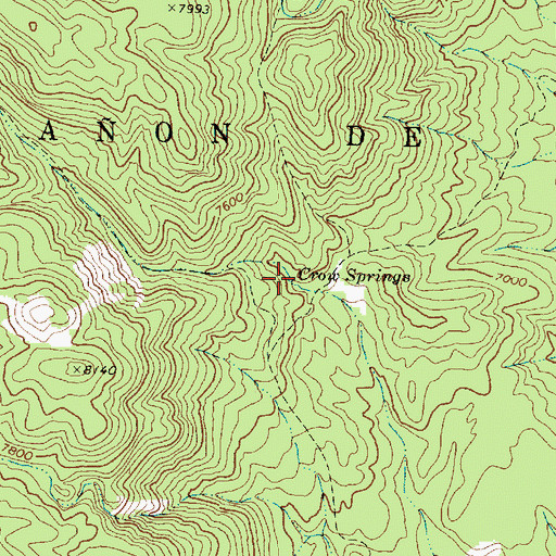 Topographic Map of Crow Springs, NM