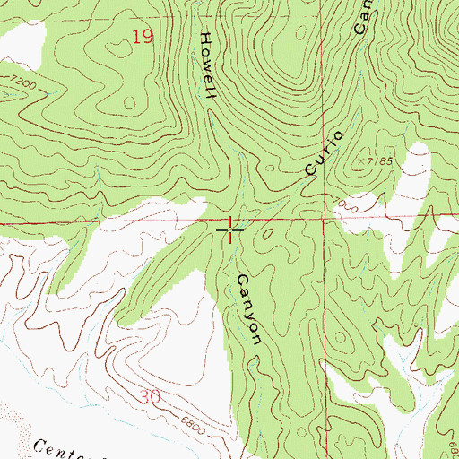 Topographic Map of Curio Canyon, NM