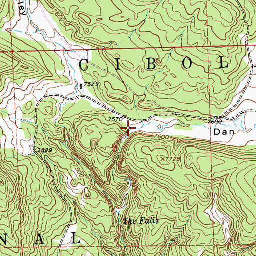 Topographic Map of Dan Valley, NM