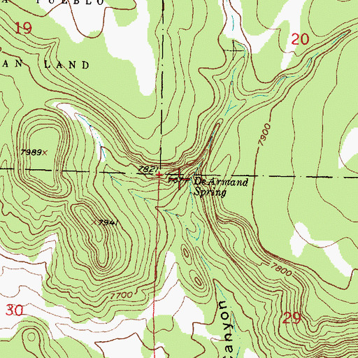 Topographic Map of De Armand Spring, NM
