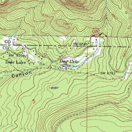 Topographic Map of Deer Lake, NM