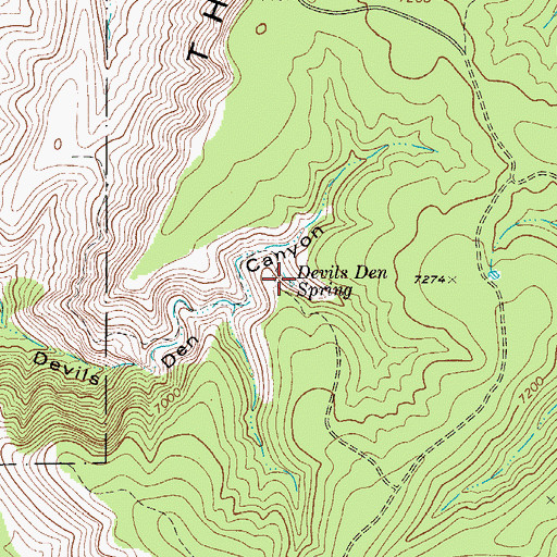 Topographic Map of Devils Den Spring, NM